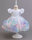 Святкова сукня Райдужні троянди, 0049, 80 (86 см), Дівчинка, 50, 24, 86 см, Атлас, фатин, Бавовна