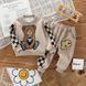 Спортивний костюм для хлопчика, 0249, 100 (92 см), Хлопчик, 40, 34, 36, 54, 34, 92 см, Бавовна 95%, Замір рукава - від ворота