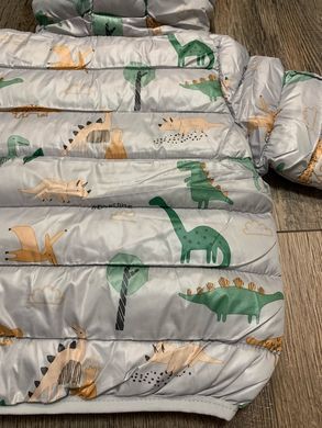 Демісезонна дитяча куртка на хлопчика Динозаври, куртка з вушками на капюшоні, на 1-5 років, сіра, 90 (92 см), Хлопчик, 38, 31, 25, 31, 92 см, Поліестер, Нейлон