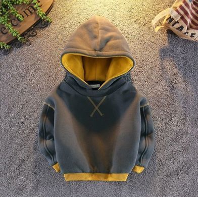 Дитяча худі на флісі, 4173, 90 (92 см), Хлопчик, 35, 31, 33, 92 см, Трикотаж, Фліс