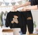 Спортивный костюм на 2-5 лет Мишка Тедди, 163, 90 (86 см), Мальчик / Девочка, 34, 31, 33, 47, 28, 86 см, Трикотаж, Замер рукава - от ворота