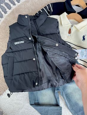 Детская жилетка без капюшона, 1355, 80 (86 см), Мальчик / Девочка, 35, 35, 86 см, Полиэстер, Нейлон