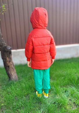 Детская куртка-пальто с капюшоном, 0007, 120, Мальчик / Девочка, 51, 39, 43, 110 см, Полиэстер, Нейлон, Замер рукава - от ворота