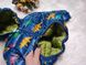 Куртка для хлопчика Різнобарвні динозаври, синя, 73, Хлопчик, 33, 30, 22, 26, 74 см, Поліестер, Нейлон