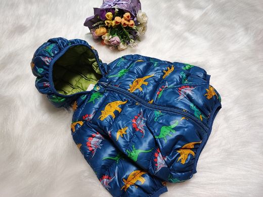 Куртка для хлопчика Різнобарвні динозаври, синя, 80, Хлопчик, 36, 32, 22, 28, 80 см, Поліестер, Нейлон