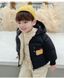 Демісезонна куртка з капюшоном для хлопчика Динозаврики 1874, 80, Хлопчик, 37, 35, 86 см, Поліестер, Плюш, Замір рукава - від ворота