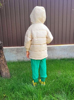 Дитяча куртка-пальто з капюшоном, 0008, 100, Хлопчик / Дівчинка, 47, 34, 37, 92 см, Поліестер, Нейлон, Замір рукава - від ворота