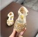 Блискучі туфлі з намистинками та камінцями, 2025, 21, Дівчинка, 13.5, Стопа має бути менша за устілку на -1 см!