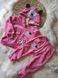 Велюровий костюм для дівчинки Міні Маус, рожевий, 80, Дівчинка, 34, 29, 47, 26, 80 см, Велюр, Фліс