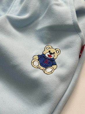 Спортивный костюм для мальчика, 0277, 80 (80 см), Мальчик, 32, 31, 33, 45, 26, 80 см, Трикотаж, Замер рукава - от ворота