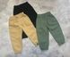 Летние котоновые штаны для мальчика, 3636, 80, Мальчик, 46, 27, 80 см, Коттон
