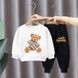Спортивный костюм на 2-5 лет Мишка Тедди, 165, 110 (98 см), Мальчик / Девочка, 39, 34, 40, 58, 35, 98 см, Трикотаж, Трикотаж, Замер рукава - от ворота