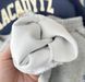 Спортивний костюм для хлопчика Ведмідь USA, 0306, 100 (92 см), Хлопчик, 38, 36, 39, 55, 35, 33, 92 см, Бавовна 95%, Замір рукава - від ворота