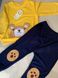 Дитячий костюм (спортивні штани + світшот) на 1-4 роки жовто-синій, Ведмедик, 100, Хлопчик, 38, 30, 39, 50, 29, 32, 92 см, Трикотаж, Трикотаж, Замір рукава - від ворота