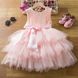 Пишна рожева сукня для дівчинки, 7052, 90, Дівчинка, 55, 27, 92 см, Фатин