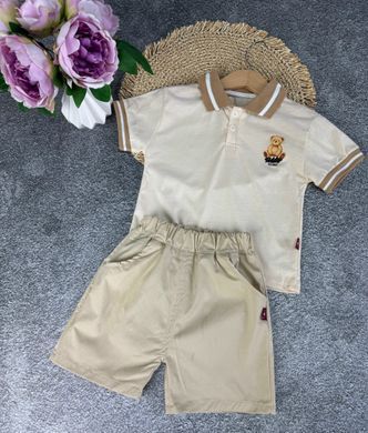 Костюм с поло и шортами на мальчика, 12379, 110 (98 см), Мальчик, 40, 32, 31, 98 см, Трикотаж