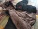 Двусторонняя куртка на меху Ушки медведя, черная, 100, Мальчик / Девочка, 41, 37, 30, 34, 92 см, Полиэстер, Махра