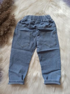 Дитячі джинси Міккі 3513, 120, Хлопчик / Дівчинка, 66, 45, 116 см, Джинс