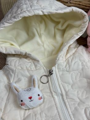 Детский теплый костюм на плюше, 0037, 120 (104 см), Девочка, 44, 42, 46, 61, 36, 104 см, Полиэстер, Плюш, Замер рукава - от ворота
