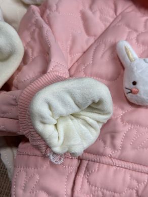 Дитячий теплий костюм на плюші, 0038, 80 (80 см), Дівчинка, 33, 34, 36, 46, 24, 80 см, Поліестер, Плюш, Замір рукава - від ворота