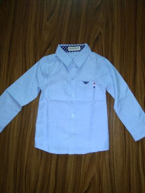 Голубая рубашка для мальчика, 100, Мальчик, 45, 30, 35, 104 см, Хлопок 95%, Хлопок 95%