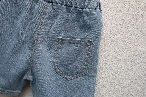 Костюм з джинсовими шортами для хлопчика 12150, 80, Хлопчик, 31, 27, 25, 80 см, Трикотаж, джинс