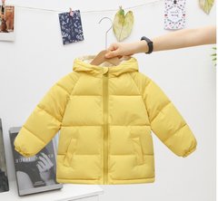 Дитяча куртка з капюшоном на синтепоні 1998, 130, Хлопчик / Дівчинка, 54, 44, 52, 128 см, Поліестер, Нейлон
