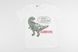 Детская футболка Динозавр_9002, 90, Мальчик, 38, 27, 86 см, Хлопок 95%