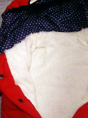 Куртка демісезонна для дівчинки Міні Маус_1690, 80, Дівчинка, 38, 32, 25, 29, 80 см, Поліестер, Махра