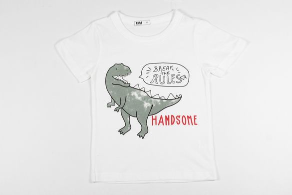 Дитяча футболка Динозавр_9002, 100, Хлопчик, 40, 29, 92 см, Бавовна 95%