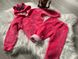 Велюровий костюм на флісі Міні Маус, рожевий, 80, Дівчинка, 36, 28, 28, 48, 29, 86 см, Велюр, Велюр, Фліс