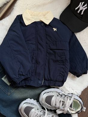 Куртка на меховой подкладке для мальчика, 0015, 90 (92 см), Мальчик, 35, 34, 35, 92 см, Плащівка, Нейлон, Замер рукава - от ворота