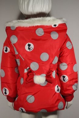 Демісезонна куртка для дівчинки Кішечка в горошок червона, 80, Дівчинка, 34, 30, 28, 80 см, Поліестер, Махра