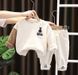 Спортивный костюм флисовый Мишка, 0030, 100 (92 см), Мальчик / Девочка, 39, 33, 38, 52, 29, 92 см, Флис, Флис, Замер рукава - от ворота