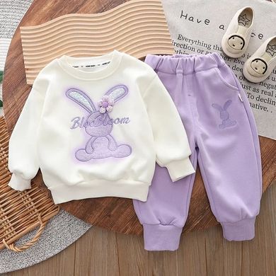 Костюм для девочки Зайка, 0241, 80 (80 см), Девочка, 32, 33, 46, 25, 80 см, Трикотаж, Замер рукава - от ворота